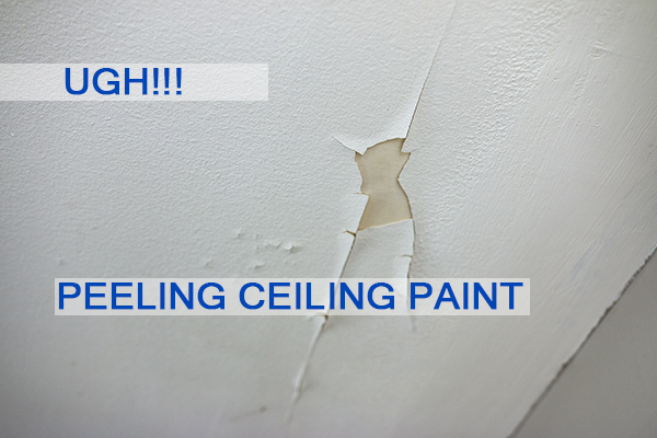 Castle Complements On Twitter Peeling Ceiling Paint How To Paint