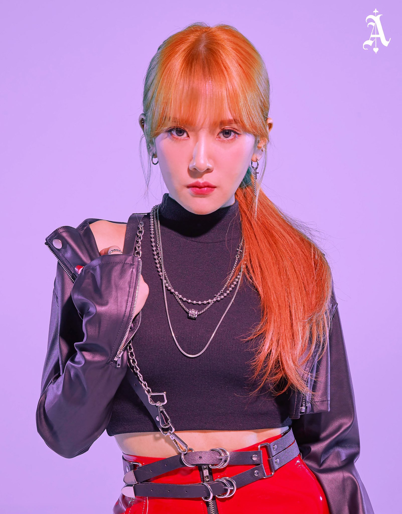 Resultado de imagem para ans royeon