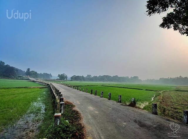 STEPS2GETHER's tweet photo. Long way to go 🛣️ #stepstogether #udupi #aroor #karnataka #karnatakatourism #travelkarnataka #travel #wanderlust #vacation #nature #naturephotography #instaindia #instaphotography #incredibleindia #india #indiadiaries #countryside #village #paddyfield #g… https://t.co/UbYcGIGXsS https://t.co/RxvfWQPcdf