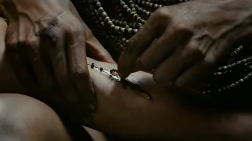 tuCpakoa's tweet photo. Les fourmis légionnaires Dorylus sont tenaces : une fois qu'elles ont pincé leur proie, elles ne lâchent plus prise !
C'est pourquoi des peuples d'Afrique les ont utilisé comme points de suture, en les faisant pincer la plaie puis en arrachant leur corps.

https://t.co/Se9aLRnkk7 https://t.co/5HI7oEUeuQ