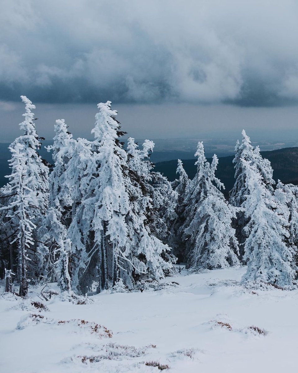 pixcassoart's tweet photo. Brocken Mountain 🥶 https://t.co/kkVvLsPFas