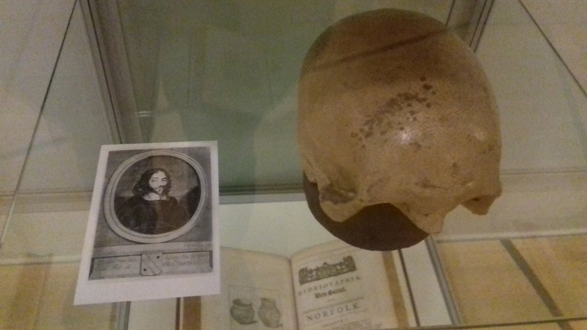 eastofelveden's tweet photo. A final visit today to the excellent Lines of Sight #WGSebald exhibition at @NorwichCastle museum. Here is a cast of Sir Thomas Browne's skull. https://t.co/SsynVNS77C