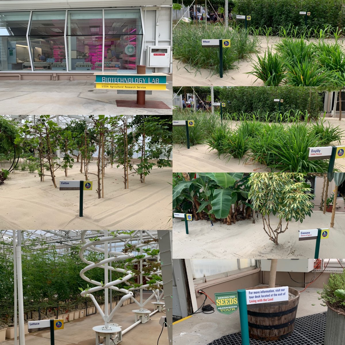 KinseyMgmt's tweet photo. Interesting #FridayFun at @DisneyParks Ebcot #LivingWithTheLand. Fun tour about how #BioTech and #Farming are transforming our production of world #Food needs. Great work by the @USDA Reminds us of our partner @StollerUSA #KinseyMgmt #WeInspirePeople #ProudPartner #WeAreStoller https://t.co/MYnhQocCtA
