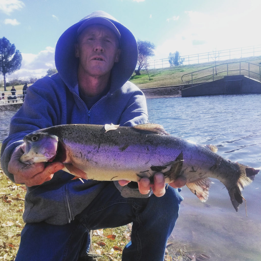 GoFishAZ's tweet image. Angler Report: Central region Community waters (Greenfield, Evelyn Hallman) - fishaz.azgfd.com/angler_reports…