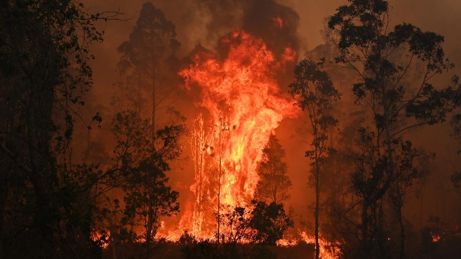 kthviadao's tweet image. É, com certeza Anitta, Saulo e Gui Araújo são mais importantes que M E I O B I L H Ã O de animais e 17 pessoas mortas nos incêndios na Austrália.... É triste ver o descaso da mídia, isso está acontecendo, isso é real! #AustraliaOnFire