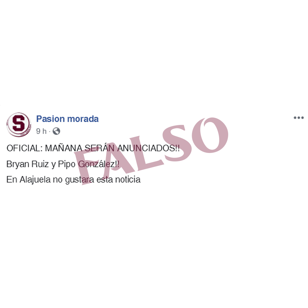 pasionmorada tweet media