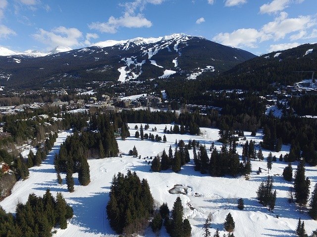Discover Vail tweet media
