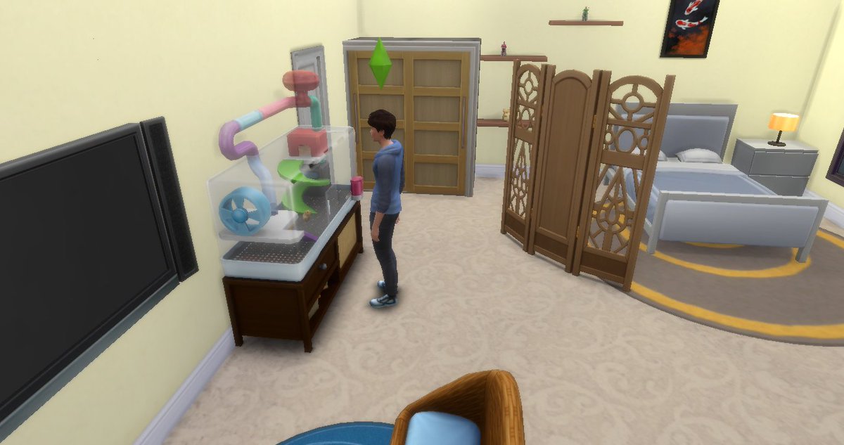 btspolysims's tweet photo. Seokjin also discovered his own room and ended up playing with little Eomuk 🐹 https://t.co/0dXpKCKHo0