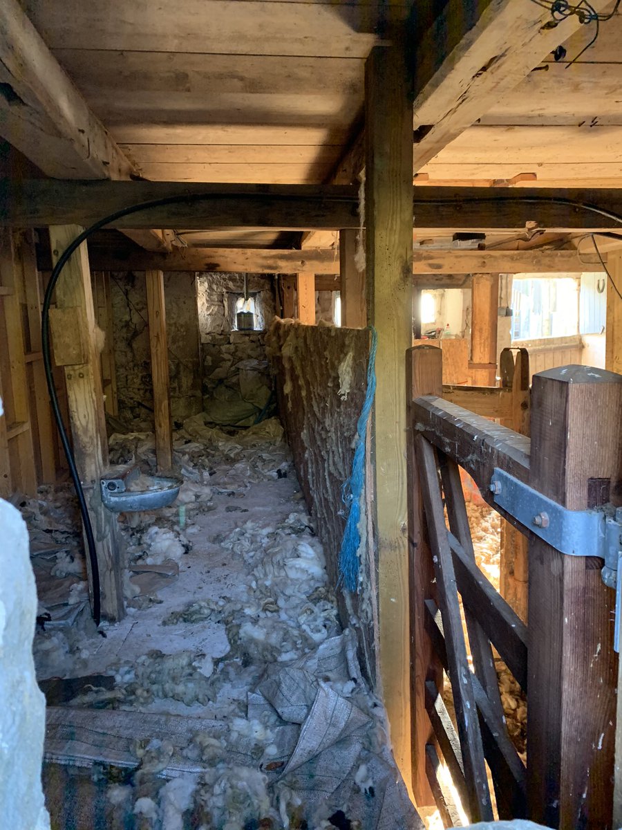 kib505's tweet image. Couple of beauties from today’s walk out at one of my favourite places... 

#fieldsofgreen #northyorkshire #tourism #cravenarms #burnsall #appletreewick