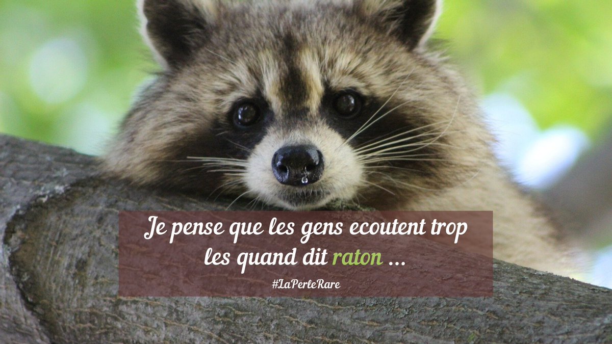 atchik's tweet photo. [🔮] Aujourd'hui, on va pas se raconter d'histoires : grâce à un internaute, on tient une vraie alternative au père Castor 😂

#luaubureau #viedemodo #laperlerare https://t.co/BjjrjUqRd6