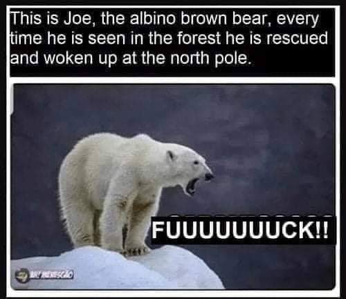 junetulip's tweet photo. Oh, Joe... https://t.co/uICDDyZVBi