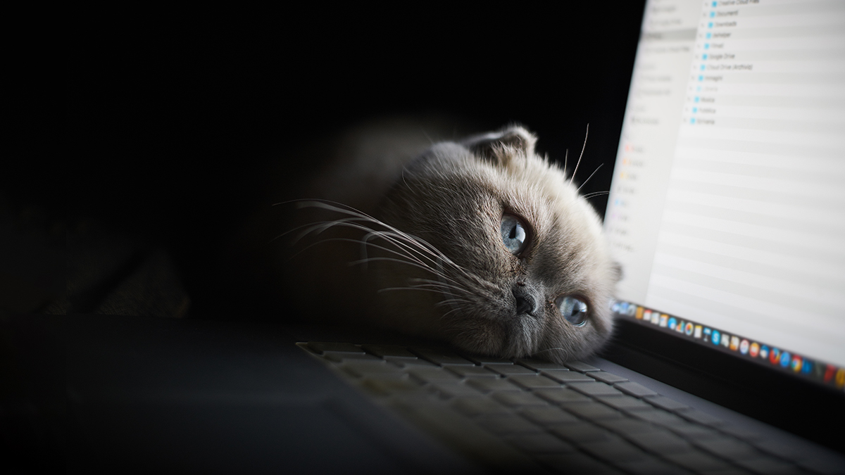 WineGlassMktg's tweet photo. Is this you?
How to Stop Thinking About Work at 3am https://t.co/9MnH0H0463
#workbrain #meditate #getcreative #journaling https://t.co/n950eM6Bu8
