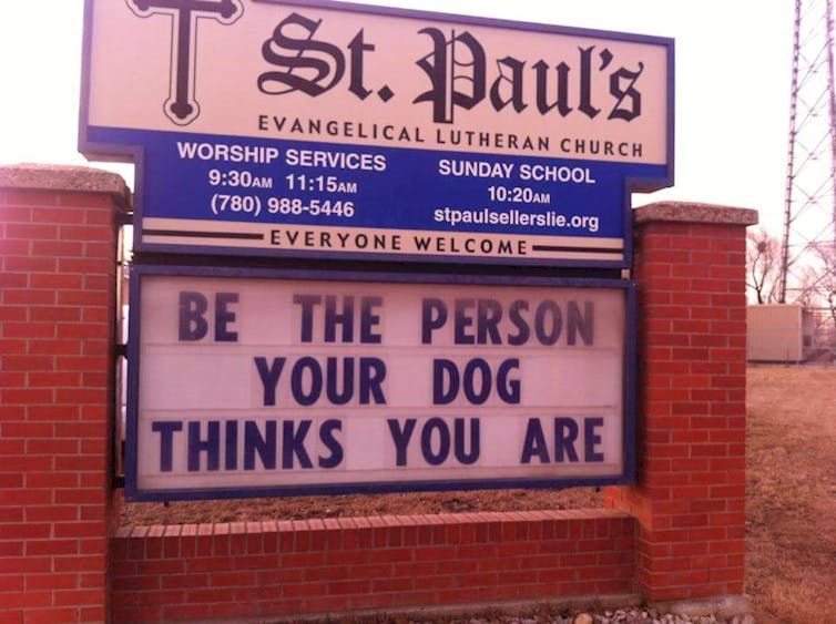 GS_Florida's tweet image. Use Biofeed®

#GreenerSolutions #Biofeed #Sustainability #sustainableLiving #nature #flowerbed #gardentip #gardeningtip #garden #vegetablegarden #greenertip #greenergardentip #gardening #gardener #lawncare #flowerpots #potting #innovativedesign #greenerinnovations