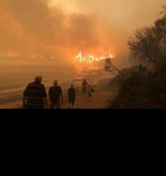 Προβολή εικόνας στο Twitter