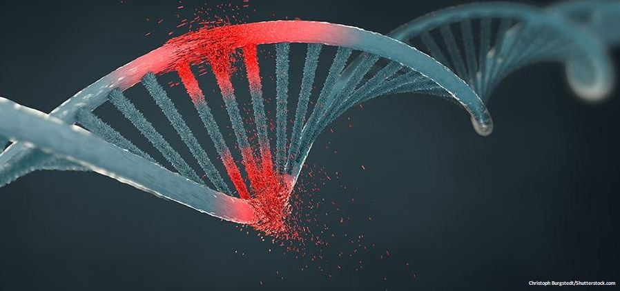 Science Signaling (@scisignal) on Twitter photo The common chemotherapy #doxorubicin can promote the migration of cancer cells through phosphorylation of a translation factor, shows the Willis lab at <a href="/Cambridge_Uni/">Cambridge University</a>. fcld.ly/v8y0en9 The common chemotherapy #doxorubicin can promote the migration of cancer cells through phosphorylation of a translation factor, shows the Willis lab at <a href="/Cambridge_Uni/">Cambridge University</a>. fcld.ly/v8y0en9