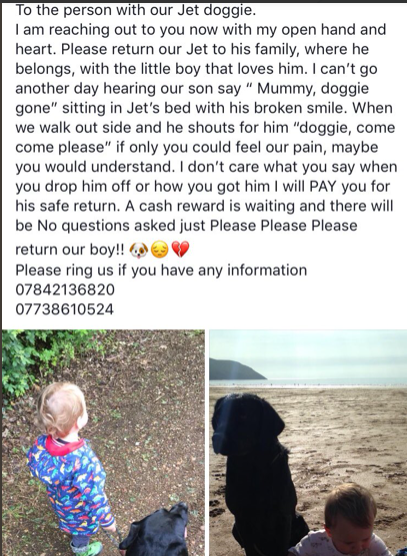 blacklab115's tweet photo. #findjet missing since 2018. https://t.co/kR8TZlXd12