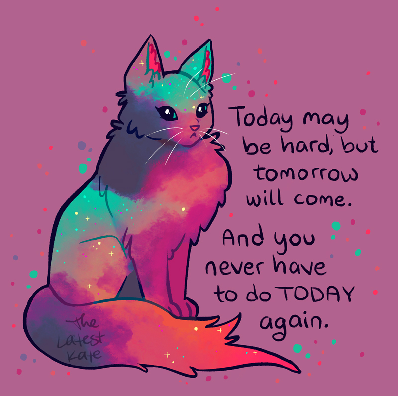 TheLatestKate tweet media