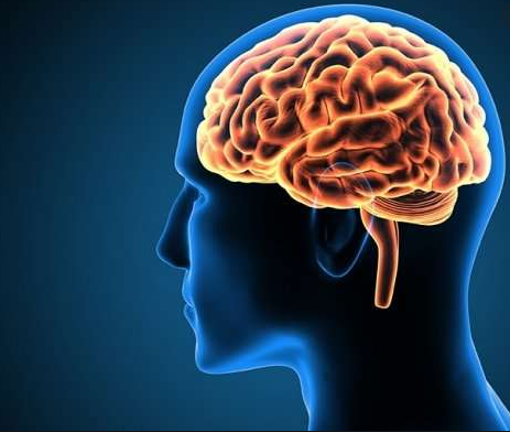 The Trouble With Alcohol And Other Drugs Starts In The Brain...hubs.ly/H0mj9qV0 #Science #Alcohol #SubstanceUse