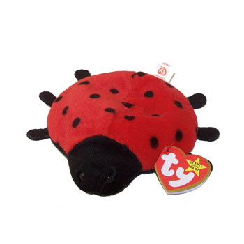 Lucky the ladybug