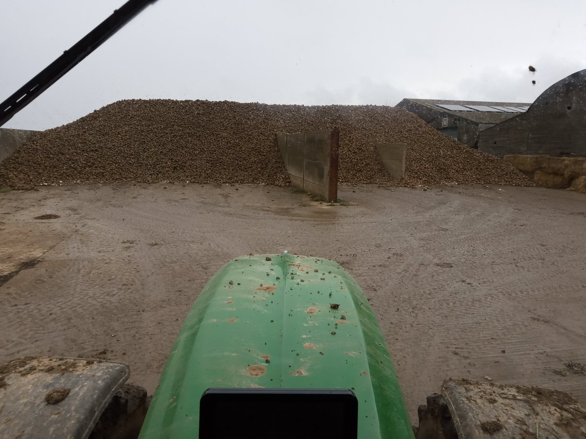 Few more <a href="/BritishSugar/">British Sugar</a> beet done. No more rain please, as still got lots of heavier land than this to do.