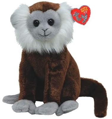 Jungle the tree monkey