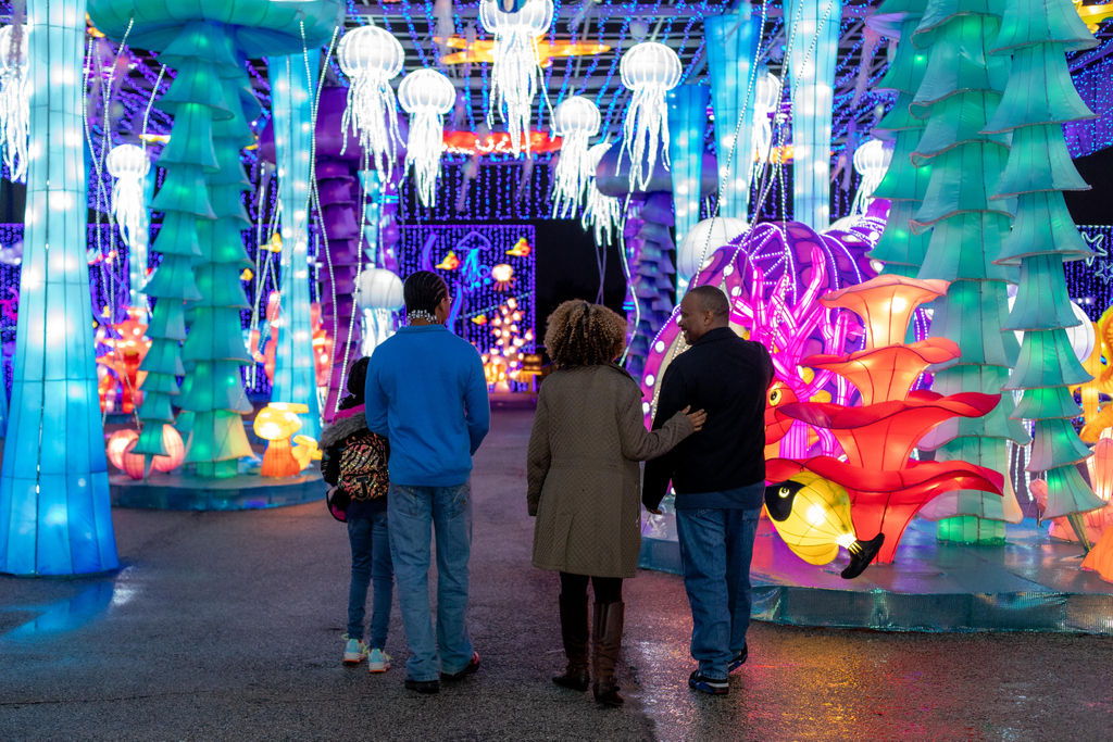 MWLHouston's tweet photo. There are only a few days left to explore the wonders of "The Sea" at Magical Winter Lights 🌊

Don't miss out this holiday season and buy tickets at https://t.co/uR5dT623K9!

#magicalwinterlights #ilovela_marque#5yearsofmagicalwinterlights #houstonfestival #galvestonfestival https://t.co/wC7bpMOeV0