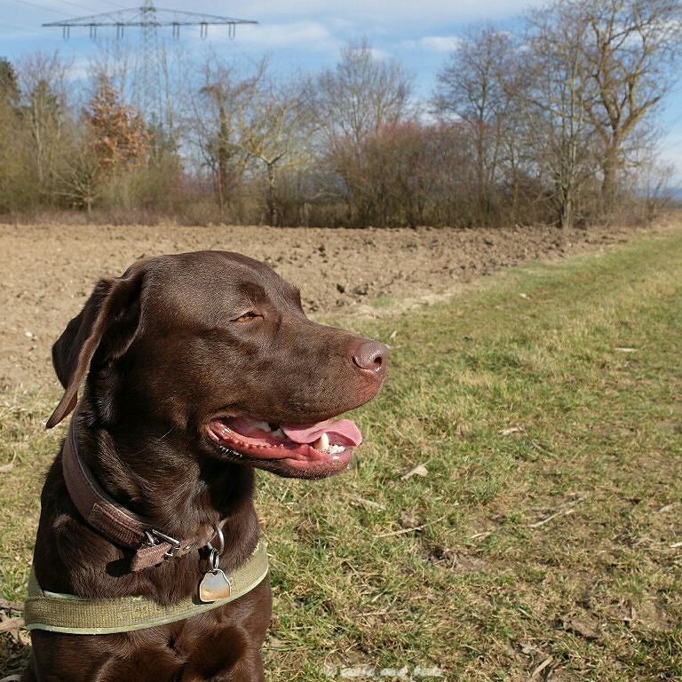 Ernie and Berti tweet media