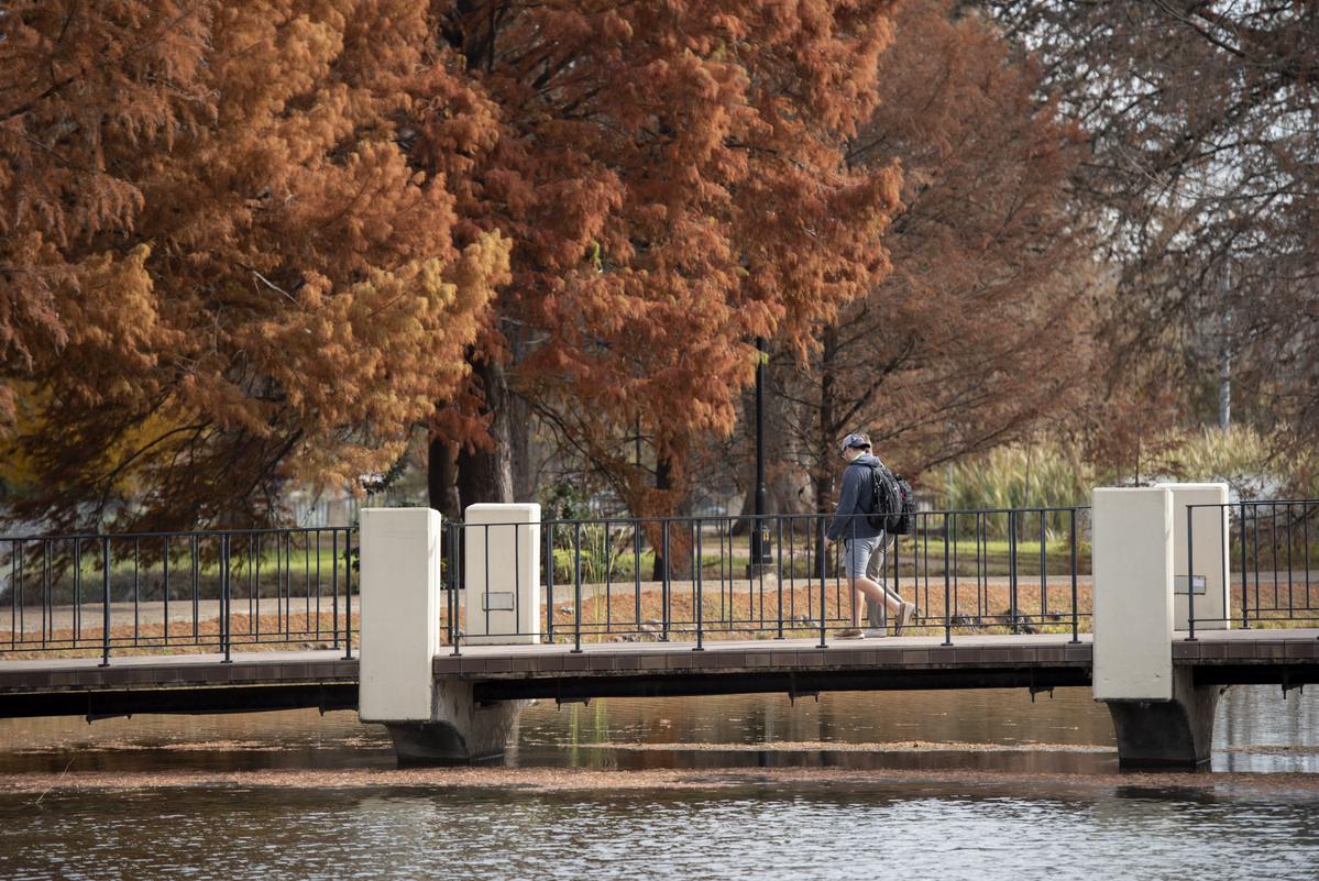 We all know <a href="/txst/">Texas State University</a> is the most beautiful campus in Texas. Next time you visit, these three walks will help you get to know the diversity of natural wonders on the San Marcos Campus, from three different perspectives: ow.ly/RsgJ50xFsSx #txstalumni