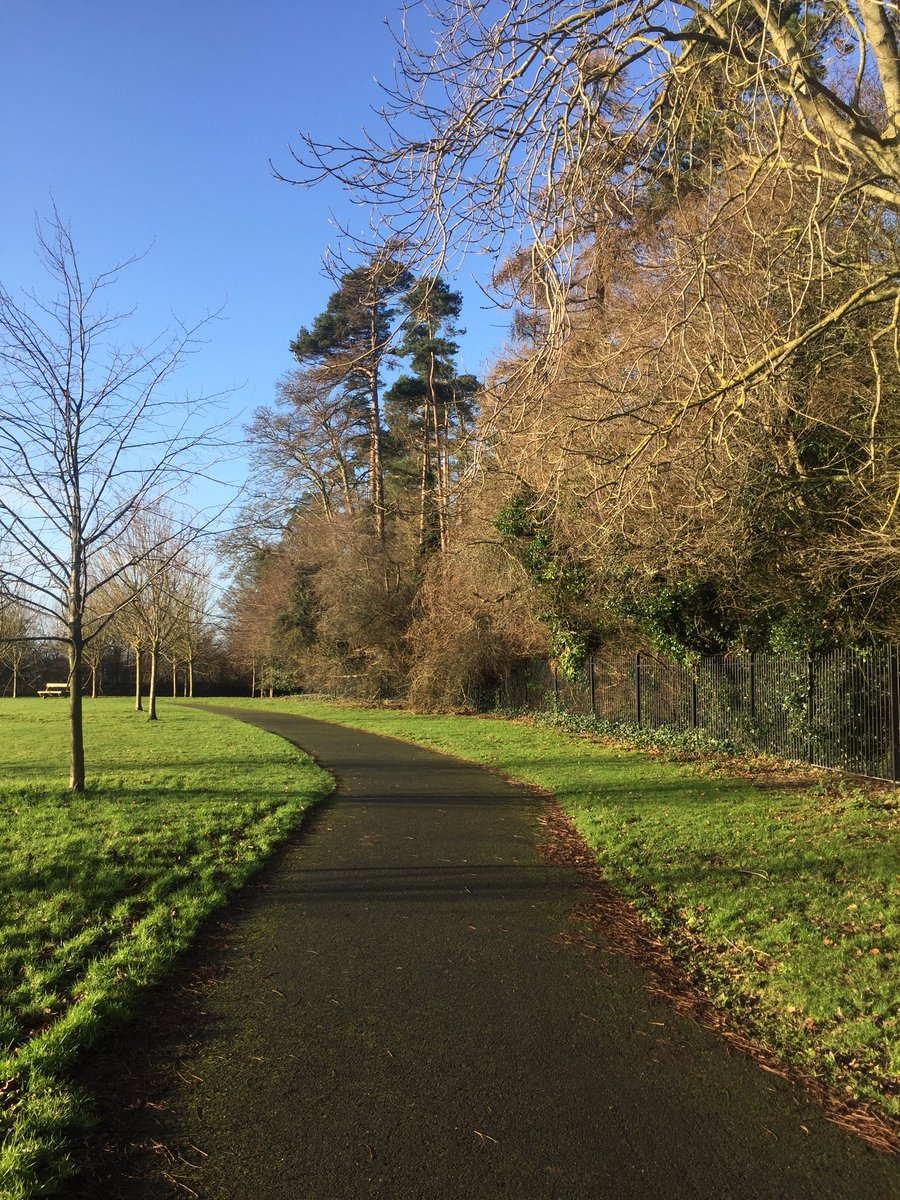 RosemaryKeating's tweet photo. Day 2 (should be 3😂) #100daysofwalking #beechpark 💚 https://t.co/1mnq2f9xeK