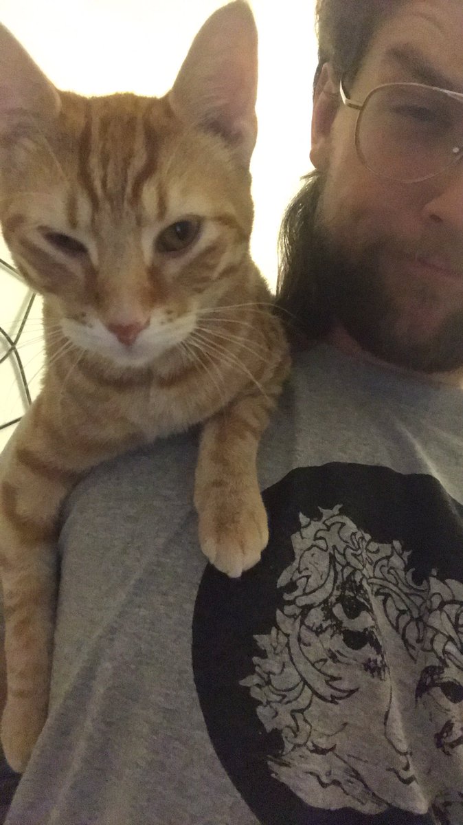 Paperback tweet media