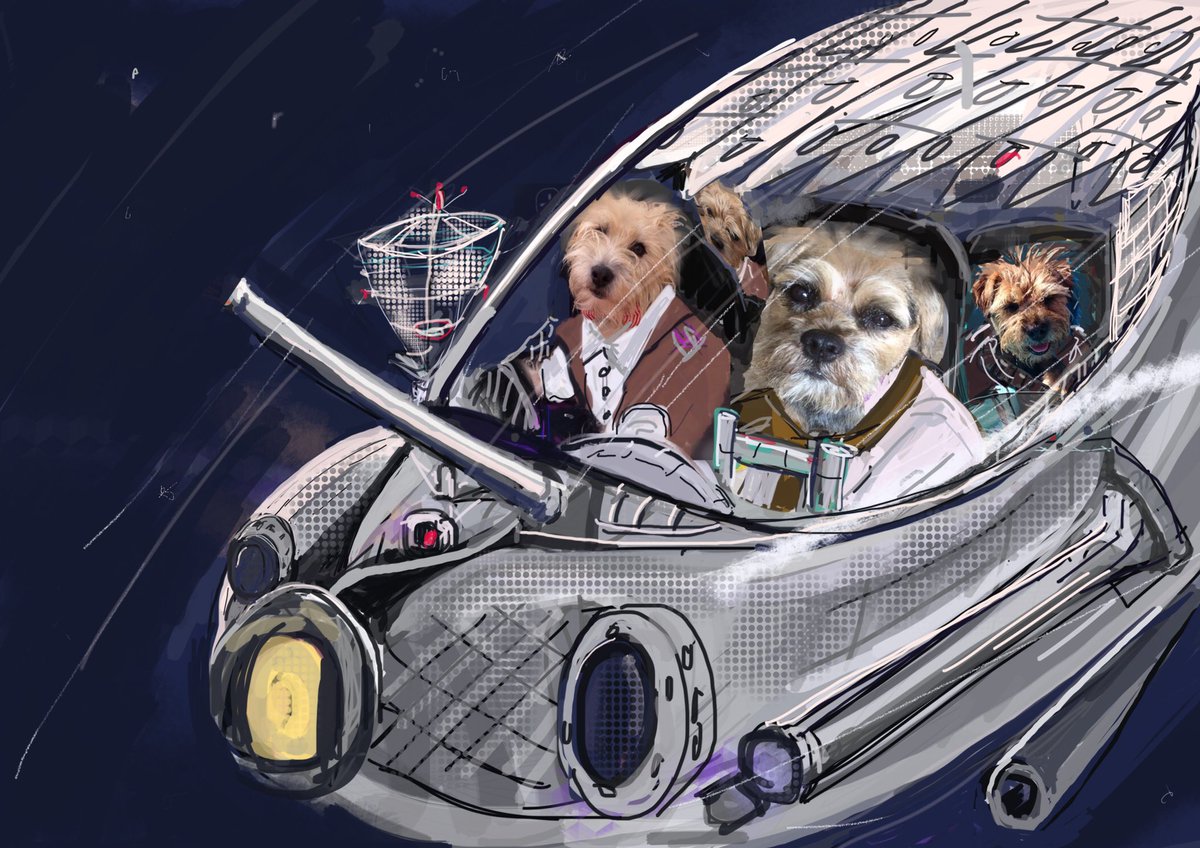 Humums have been to pictures to see #StarWars and sez it was brilliant but not as good as our #OJ #StarPaws production #Searchforthecrocofgold <a href="/BTposse/">Border Terrier Posse</a>