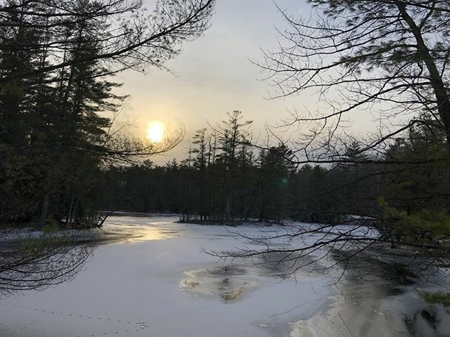muz4now's tweet photo. Life Bringer #LifeBringer #muz4now #Life #Sunrise #Lake #Trees #TreeLovers #Outdoors #OutdoorsNewYork #outside #nature #NewMusicTuesday #reflection #Clouds #CloudLovers #NatureLovers https://t.co/j5Sixef4Is https://t.co/LdSw2aLRBC