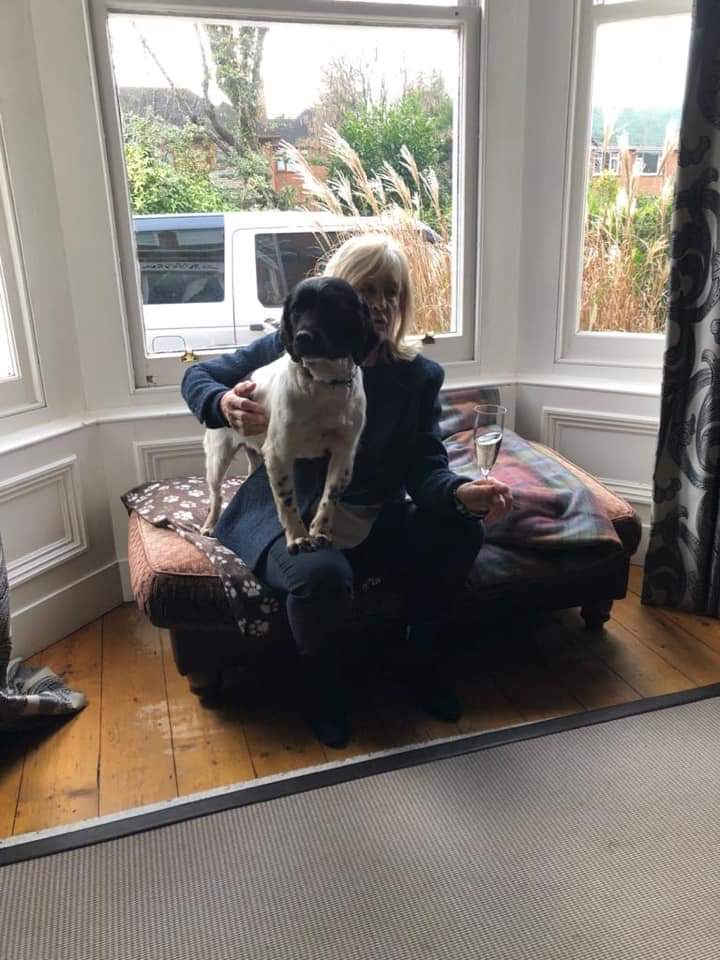 MissingPetsGB's tweet photo. 🏡 After 2 years missing, DAISY is HOME !! 💙 (Molly still missing)

She was found running around the main road between Newburgh &amp; Burscough on 30th December. A lovely couple collected her up and took her to Parbold vets where she was scanned &amp; as a result of her chip returned!! https://t.co/hm6VZFysTX