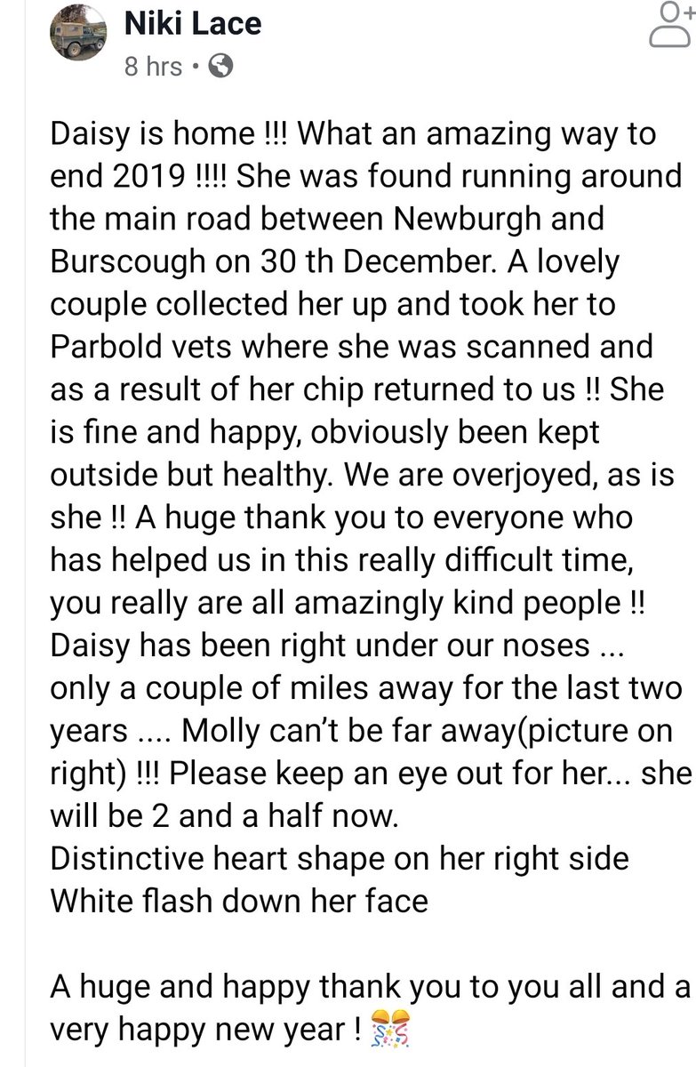 MissingPetsGB's tweet photo. 🏡 After 2 years missing, DAISY is HOME !! 💙 (Molly still missing)

She was found running around the main road between Newburgh &amp; Burscough on 30th December. A lovely couple collected her up and took her to Parbold vets where she was scanned &amp; as a result of her chip returned!! https://t.co/hm6VZFysTX