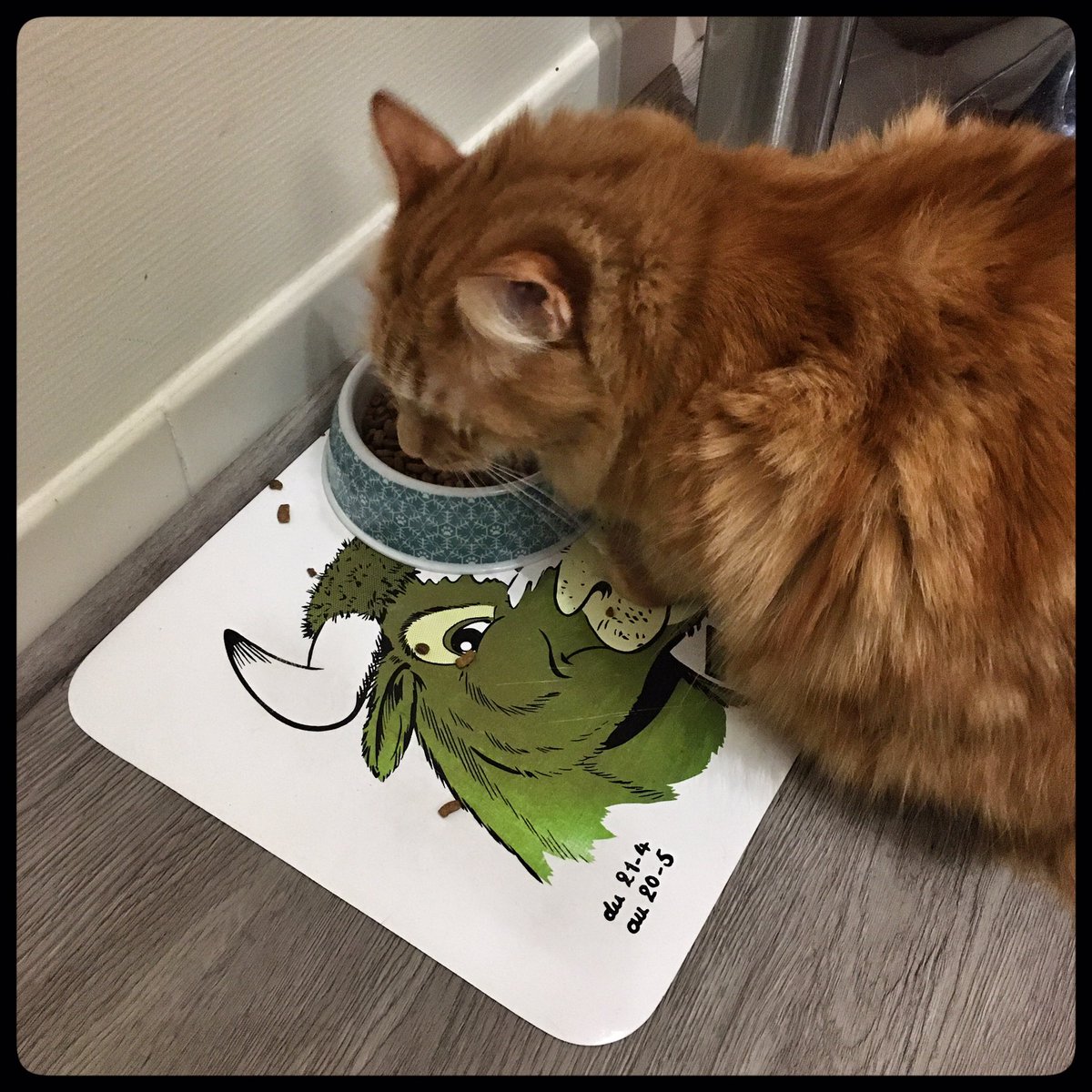Newton_Korath's tweet photo. @Belleviedechat @MonChatEstRoi @NantaiseAParis @ClaireGalesne @catspadofficial @Rimiquen_DSM @Debonspoils @tente_de @DEMAVICLab @animoscope Moi, je suis officiellement Taureau.
D’ailleurs, j’ai un set de table à mon signe astrologique sous ma gamelle. 😺
Et en astrologie chinoise, je suis Singe de Feu !! 😸
#Astrologe #Taureau #Singe #SingeDeFeu https://t.co/tXsdw00J0u