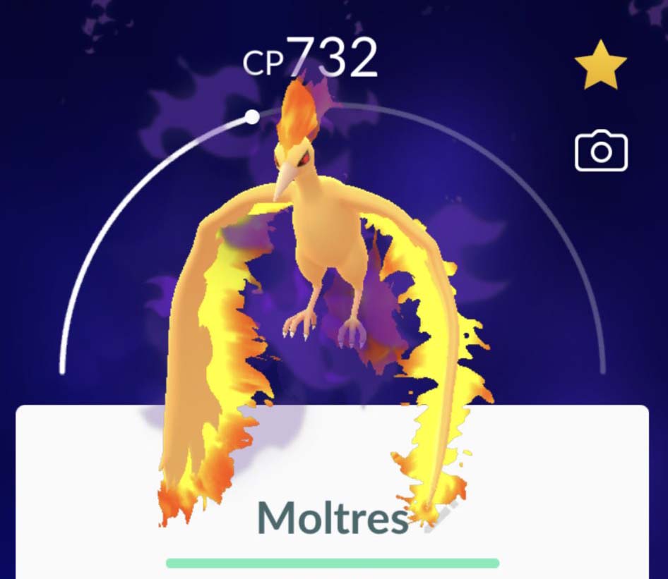 Pokemon GO Shiny Moltres News: How to catch Shiny Moltres with