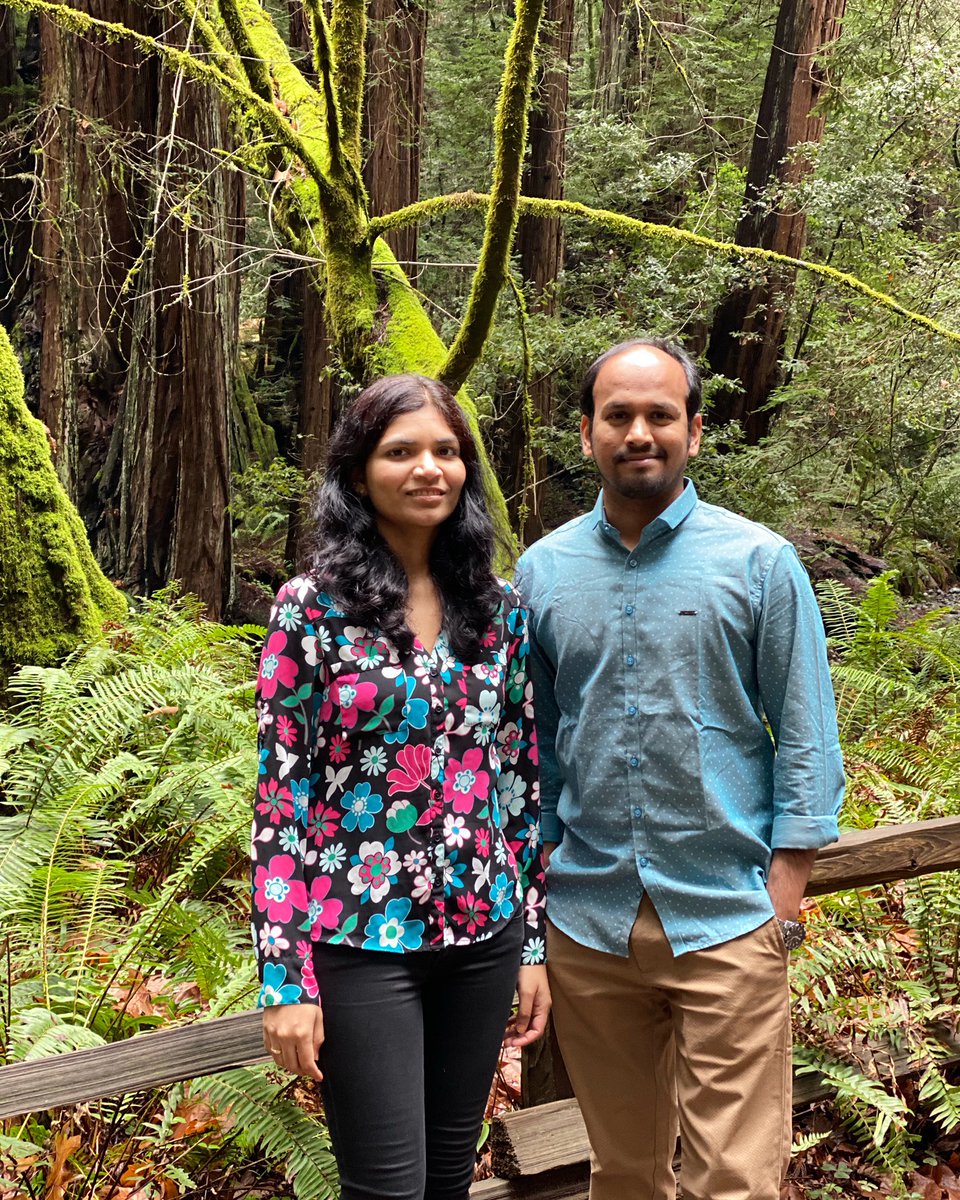 Redwood Creek Trail, Muir Woods National Monument, California!
.
.
.
#RedwoodTrees #muirwoodsnationalmonument #muirwoods #muirbeach #CathedralGrove #BohemianGrove #RedwoodCreekTrail #MountTamalpaisStatePark