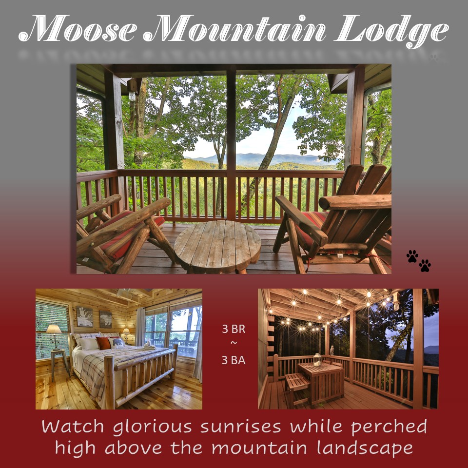 CABIN SPOTLIGHT: Ready to relax while taking in views from one of the highest privately owned peaks in Georgia? MOOSE MOUNTAIN LODGE is your perfect getaway. Call to book today! 1-855-345-9173 #wishyouwerehere #perfecttimetogetaway #SINCE2004
blueskycabinrentals.com