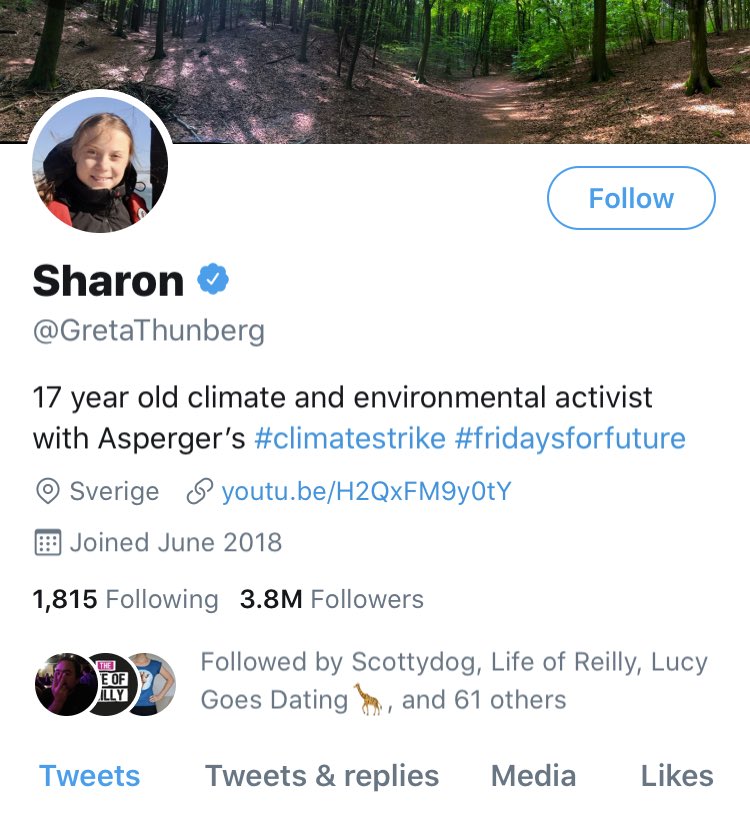 rachel levey tweet media