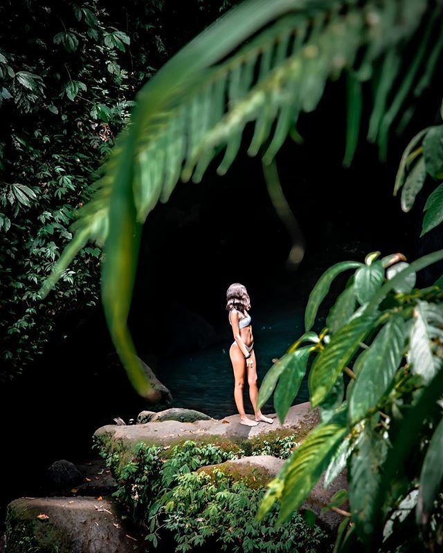 eyeschipha's tweet photo. Another beautiful shot from leke leke waterfall. .
.
.
.
#indonesia #bali #lekelekewaterfall #lekeleke #ubudbaliindonesia #ubudbali🌴 #travelindonesia🇮🇩 #travelubud #lekeleke #waterfallsofindonesia #natureloversgallery #instanature #travelphotoblog #b… https://t.co/yfTjMDp3ut https://t.co/Q8X4PCJ7fP