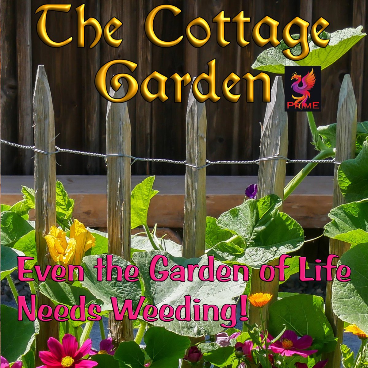TakiDrake's tweet photo. My garden is life and this compendium contains a small set of stories that I have planted and nurtured. Touching on everything from beloved pets, to children, work, and unexpected changes, these stories contain that garden - weeds and all.#TakiDrake https://t.co/1H7ab4GTMi https://t.co/FdYUsi1rhg