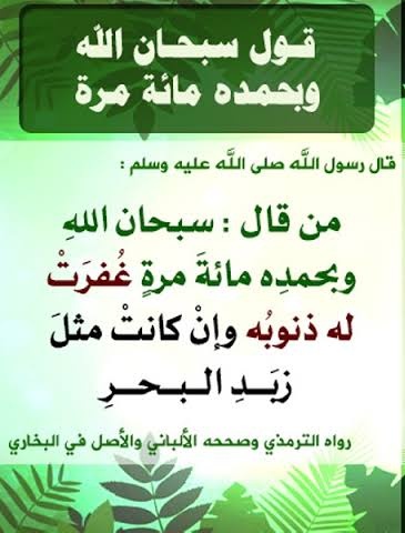 🌷🍀 راﺝـــية؏ــفو ربـﮪا 🍀🌷 tweet media