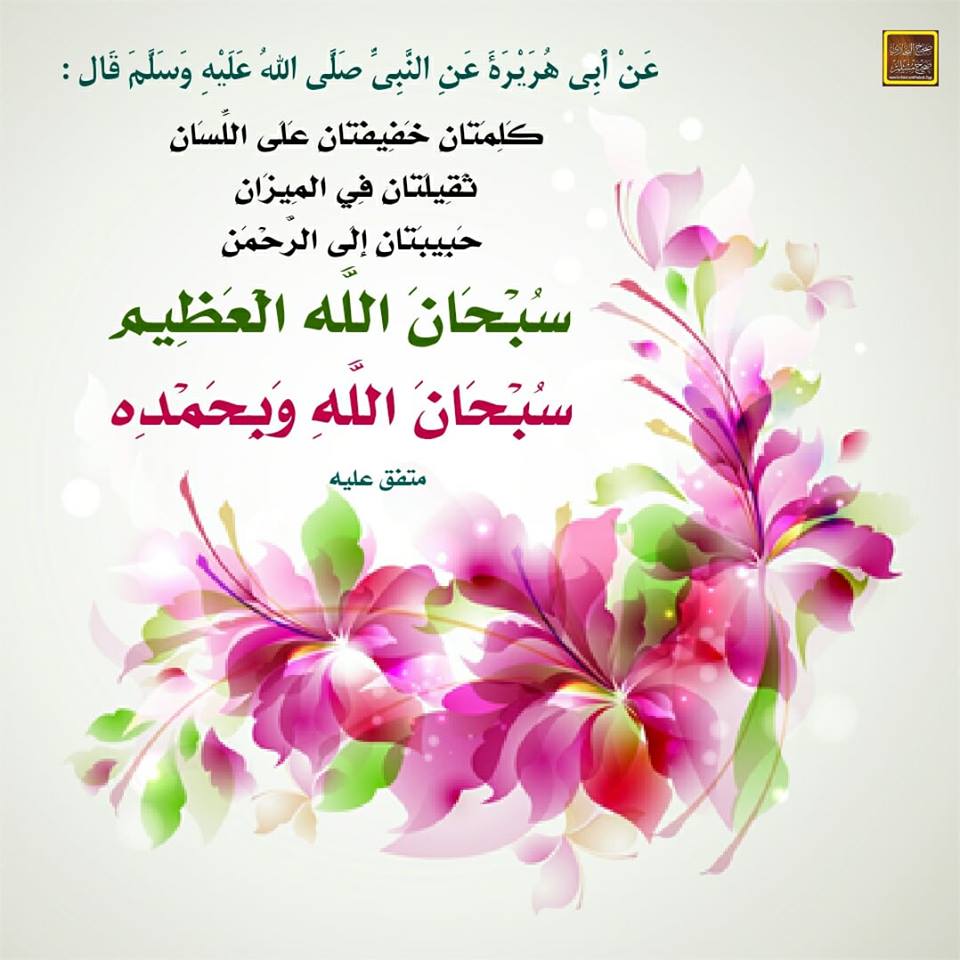 🌷🍀 راﺝـــية؏ــفو ربـﮪا 🍀🌷 tweet media