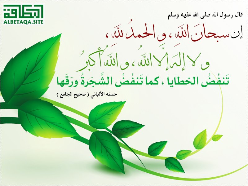 🌷🍀 راﺝـــية؏ــفو ربـﮪا 🍀🌷 tweet media
