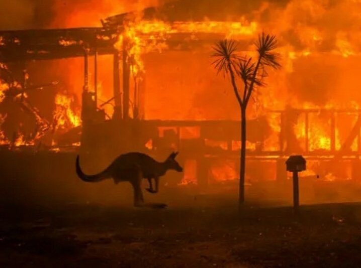introvertsmemes's tweet photo. In one of the largest evacuations in Aus history, tens of thousands were urged to flee as warnings of hot weather. 500 million animals are killed among them 8000 koalas. the worst of all is that it does not seem to have a short-term solution. 
#ClimateEmergency #prayforaustralia https://t.co/pijytaPWWU