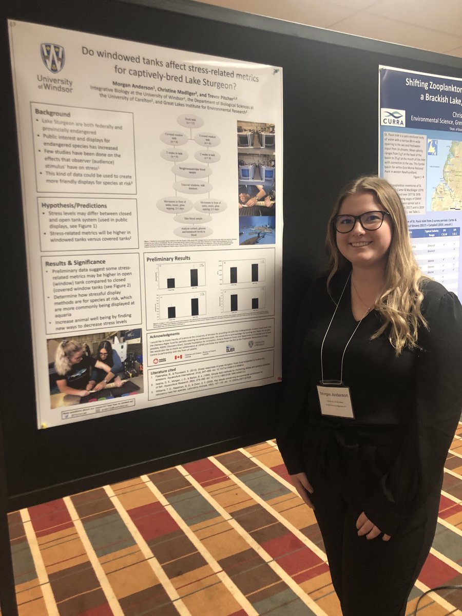 Trevor E. Pitcher (@pitcherlab) on Twitter photo <a href="/UWindsor/">University of Windsor</a> @ScienceUWindsor undergraduate students are sent to national conferences to present their honours thesis research, here <a href="/mo_anderson13/">Morgan Anderson</a>  presents research on Lake Sturgeon <a href="/UWindsor/">University of Windsor</a> @ScienceUWindsor undergraduate students are sent to national conferences to present their honours thesis research, here <a href="/mo_anderson13/">Morgan Anderson</a>  presents research on Lake Sturgeon