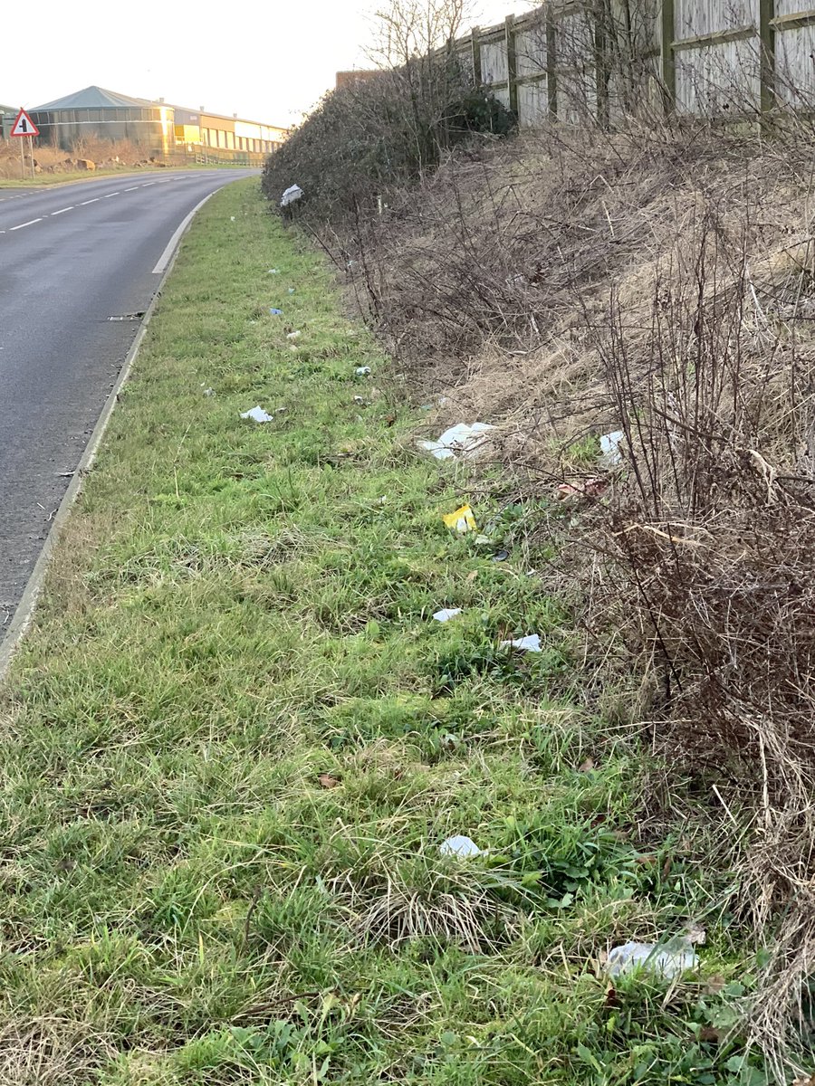 Georgina Mills tweet media