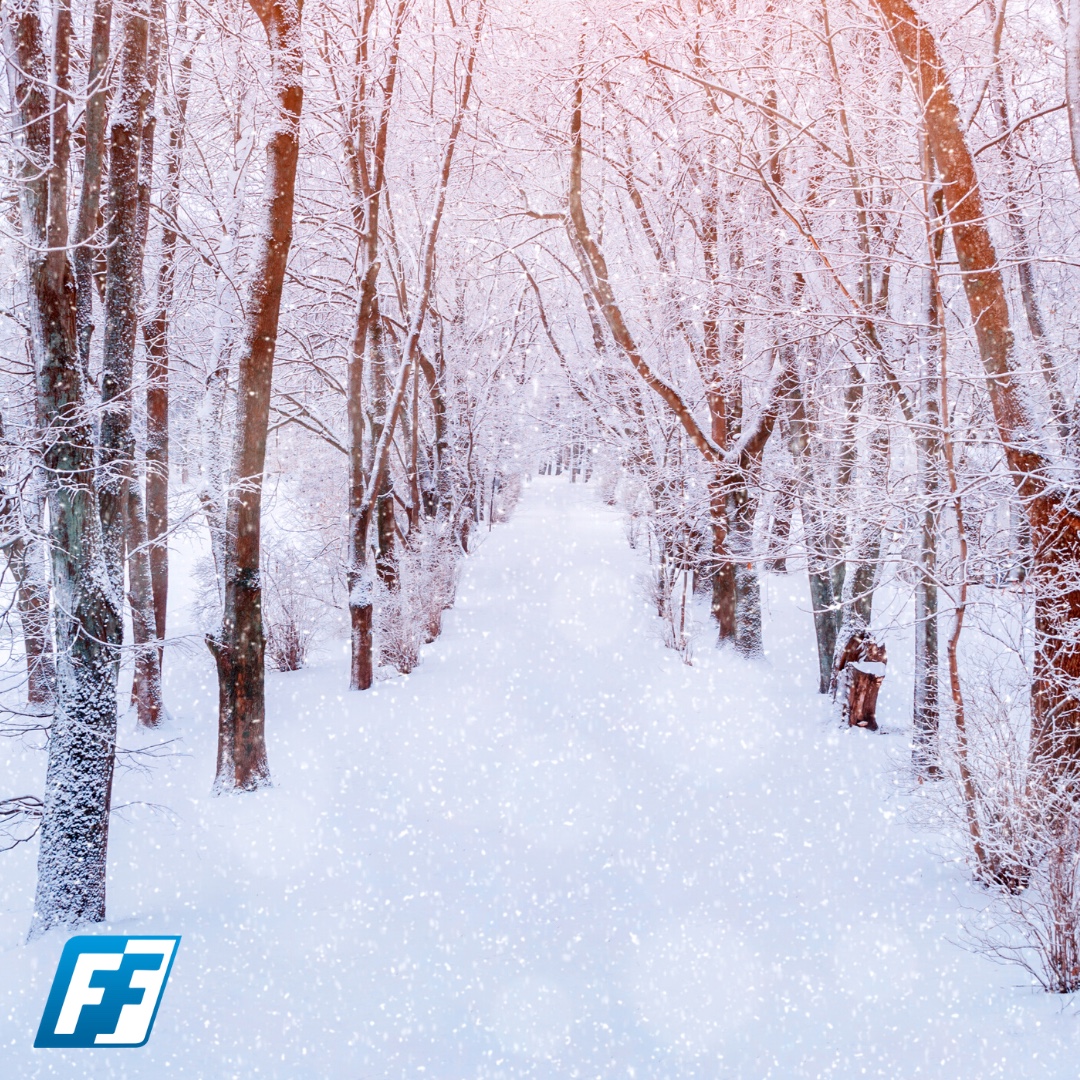 Is the path before you clear or are there obstacles? How will you overcome them? Our program can help you forge a clear path to your goals! Financiallyfit.com 

#financiallyfit #befinanciallyfree #financialfreedom #finance #money #financialhealth