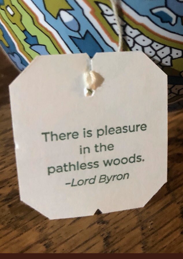 shorejaneshore's tweet photo. Messages are everywhere. #forgeyourownpath #createvision @REENVISIONED @TeaLeavesPod @TeaLeafCenter https://t.co/nzfrcs0qNl