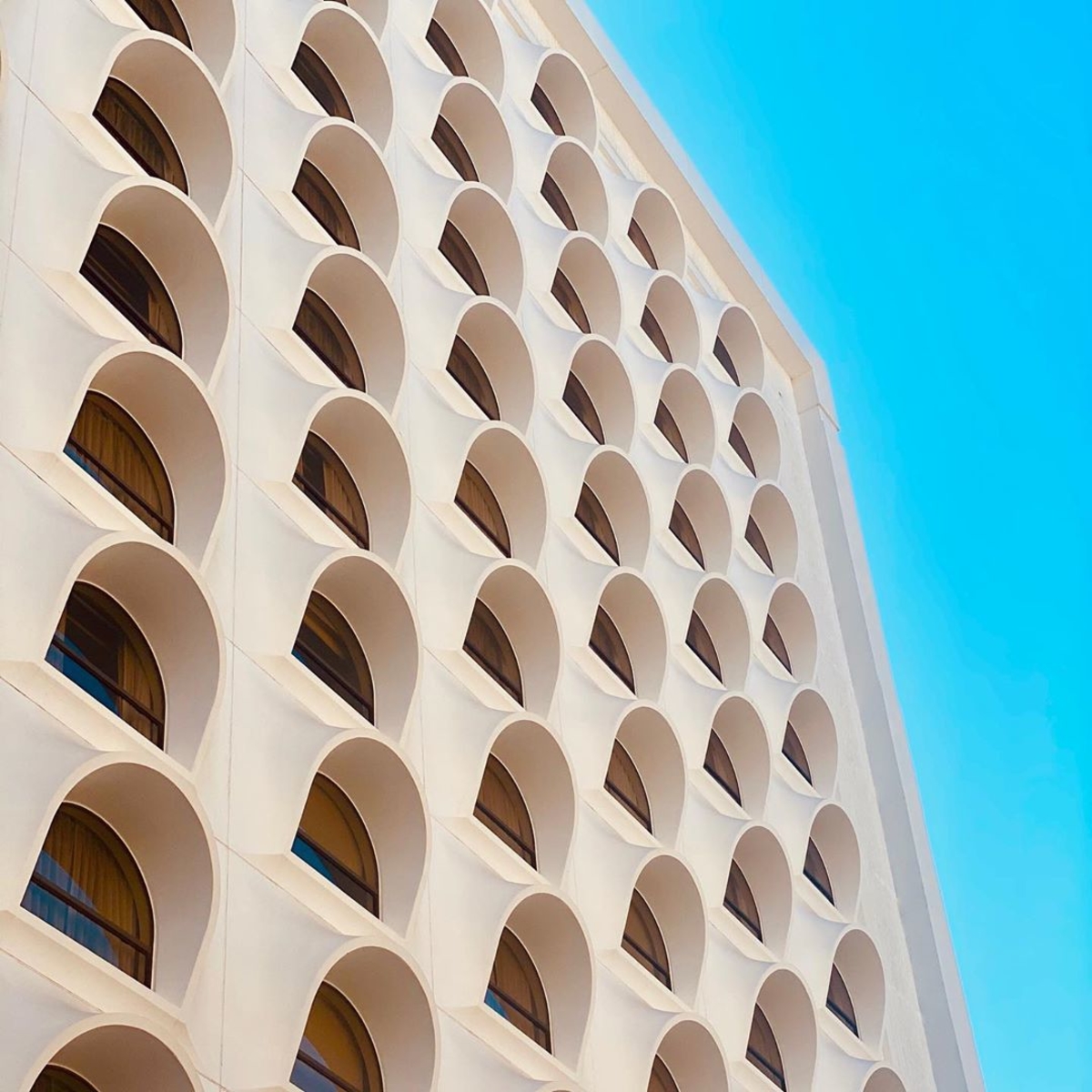 Stop and stare. 

(Photo Credit: <a href="/drewdomm/">Drew Domm</a>)